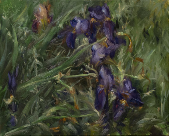 旅加拿大艺术家张亮庚子年油画作品花语赏析-中国商网|中国商报社9