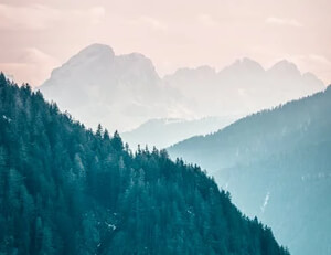 http://www.fzcgjs.com/zb_users/theme/Dillon/style/random/20.jpg